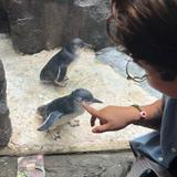 The Dallas World Aquarium