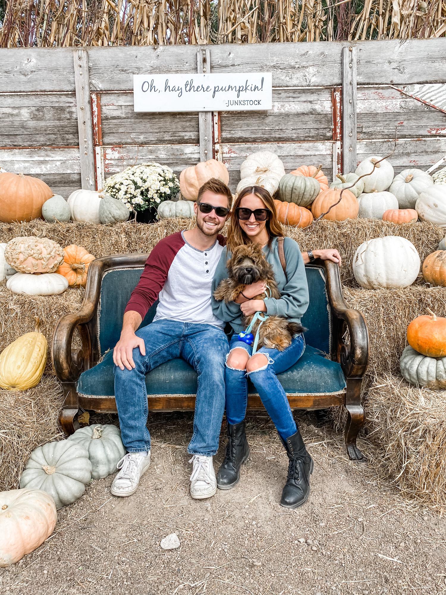 Fall Junkstock!
October 2020