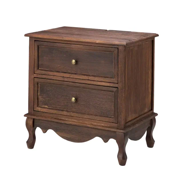 Galatea 24" Tall 2 - Drawer Nightstand with Two Drawers | KARAT HOME-WALNUT