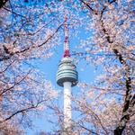N Seoul Tower