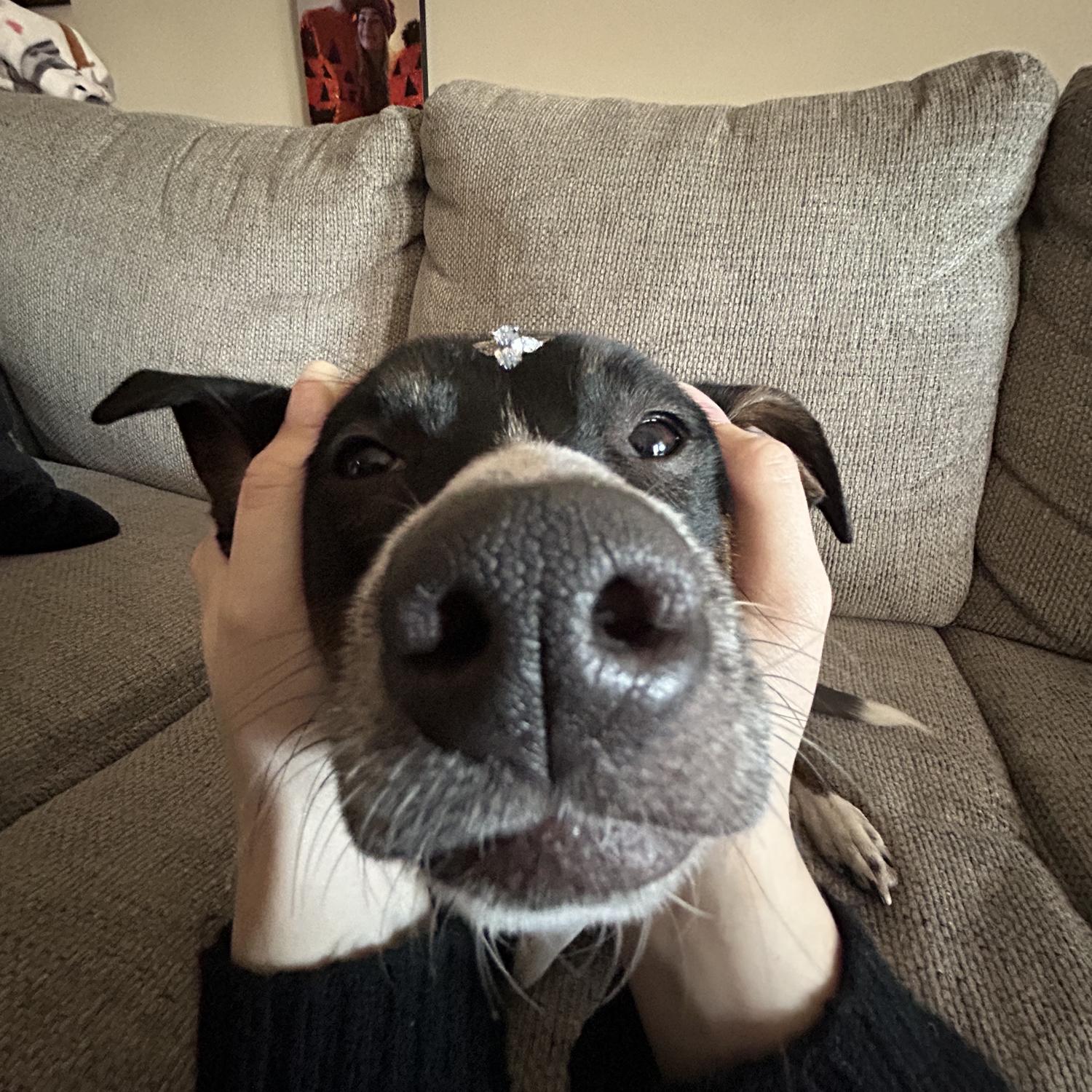 Luna and the ring 💍