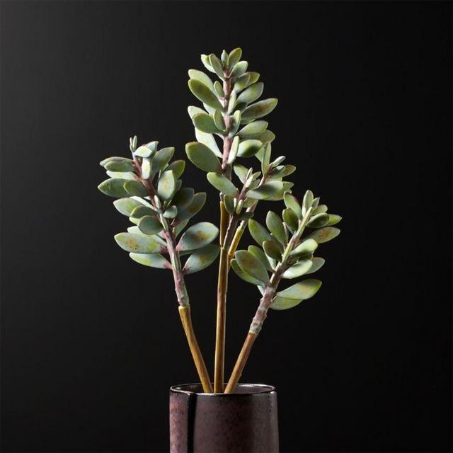 CB2 Faux Succulent Stem