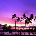 Magic Island
