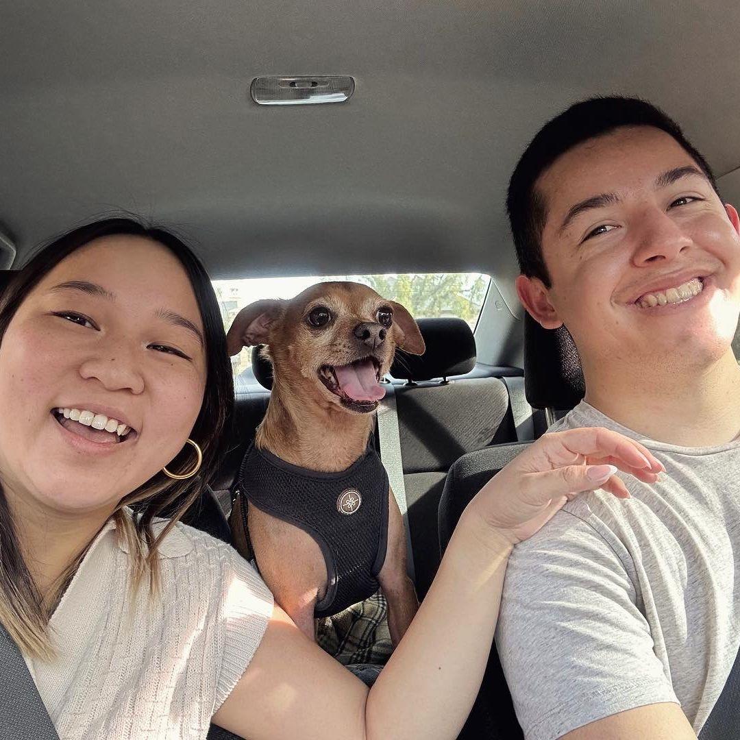 First time dog sitting