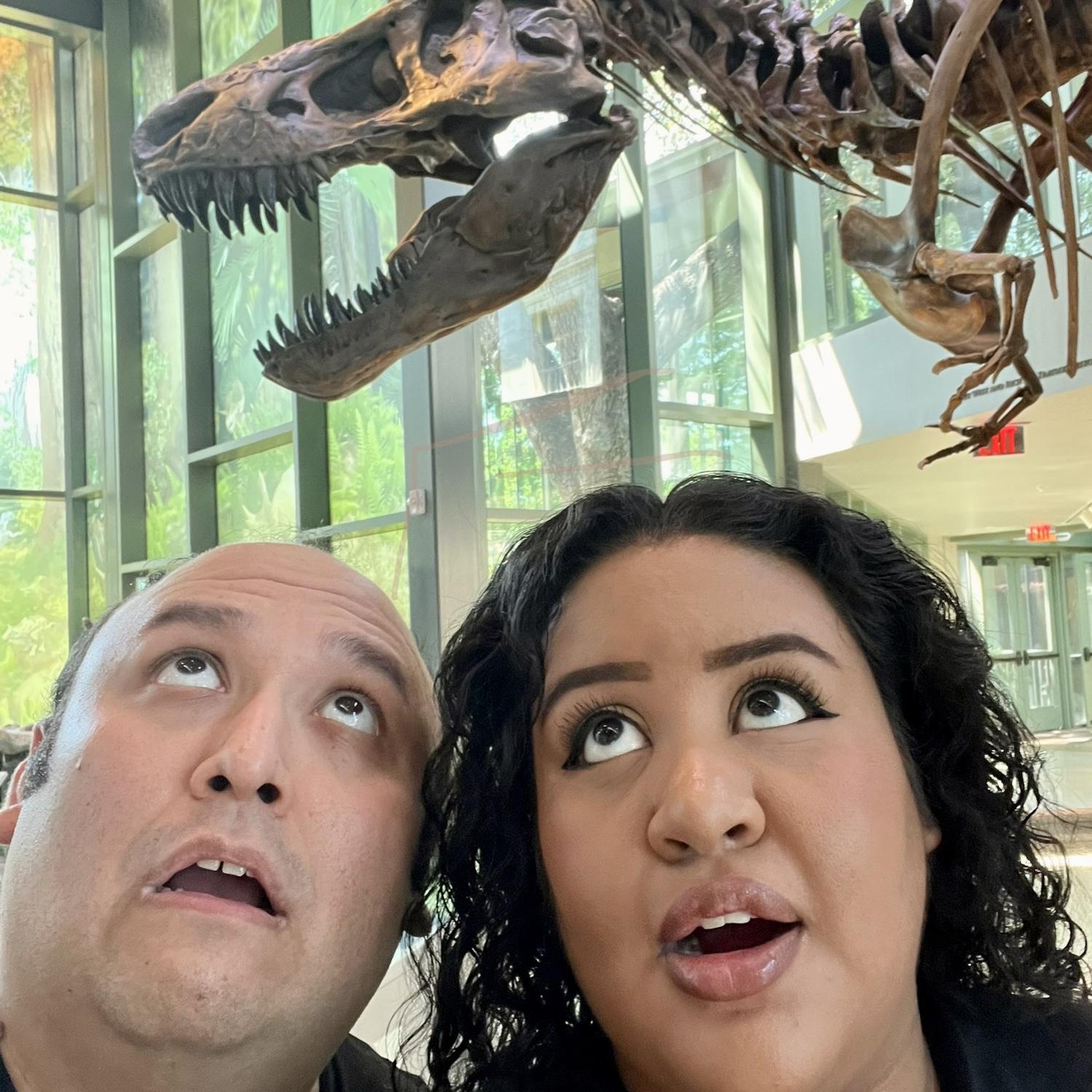 Doing his hobbies (Dinosaurs)….