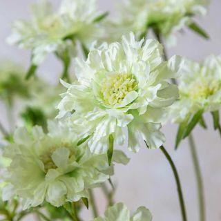 Artificial Scabious Flower Stem, Set of 6