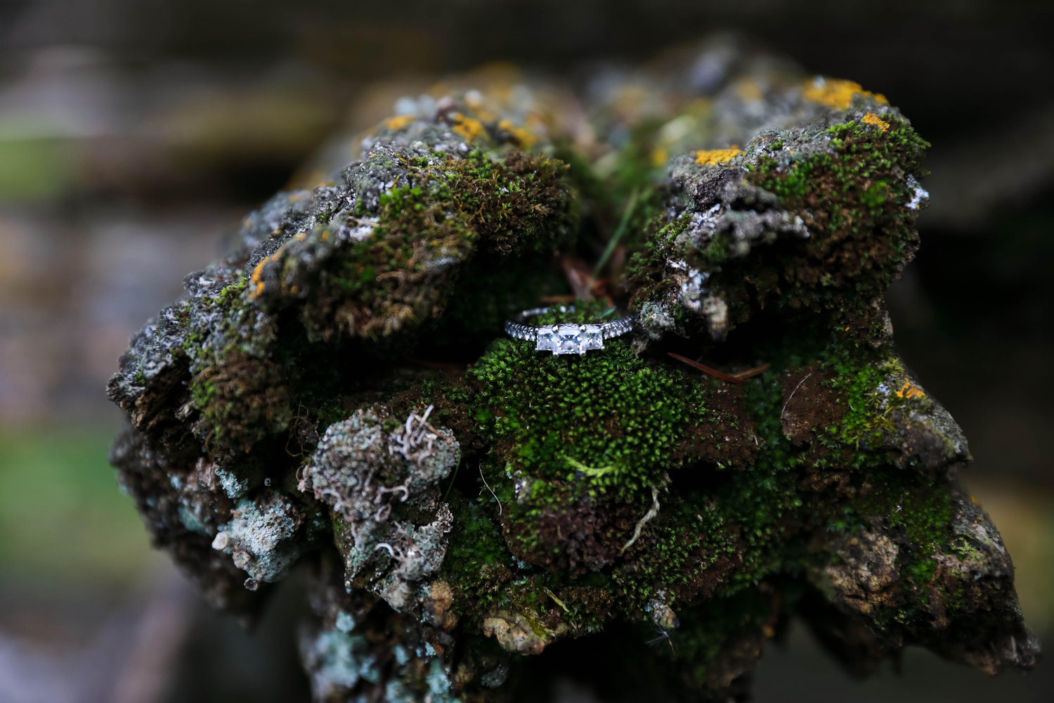 The Wedding Website of Kiriana Ericson and Kyle Lovell