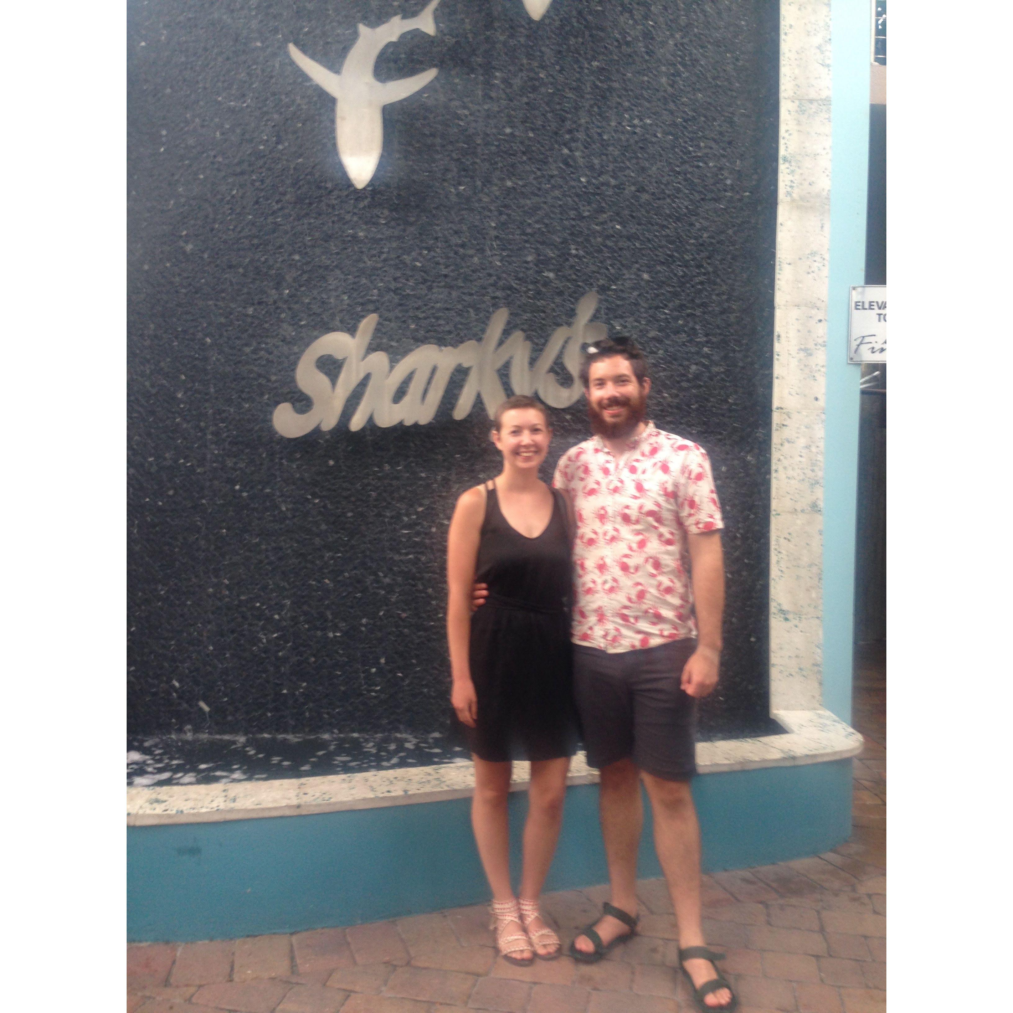 Sharky's - Fall 2018