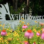 Lady Bird Johnson Wildflower Center