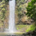 Wailua Kayak & Canoe