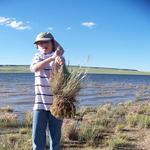 The Plains Lakes