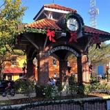 Winter Garden
