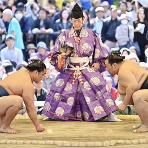 Sumo Experience