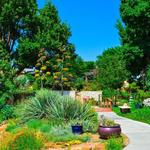 Amarillo Botanical Gardens