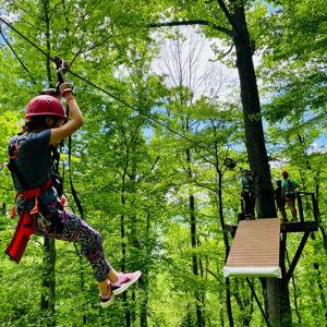 Ziplining On Our Honeymoon