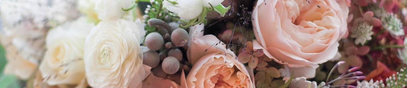 The Wedding Website of Annie Shutelock and John Rake