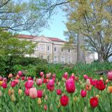 Cheekwood