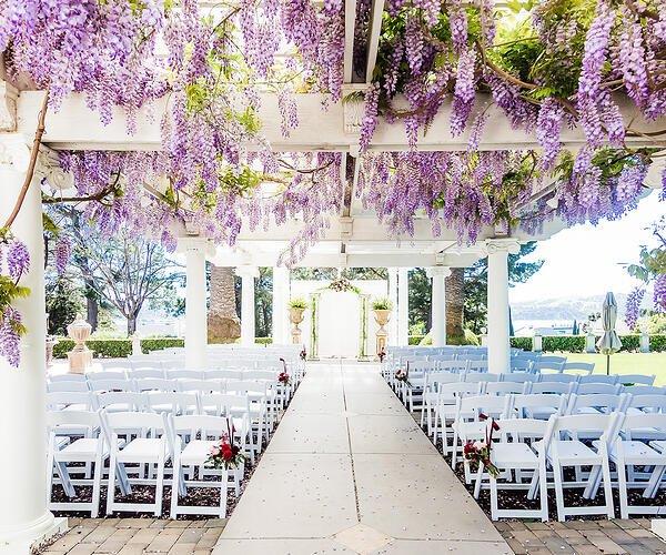 The Wedding Website of Zachary Wolk and Laura Maciel