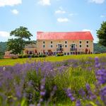 Springfield Manor Winery Distillery Brewery