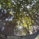 Campin'!