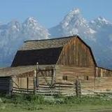 Mormon Row