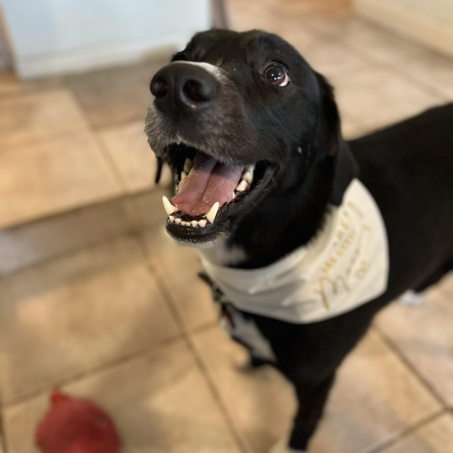 Rufus' parents are getting married!