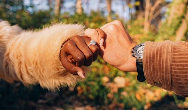 Hero Slideshow Image 2