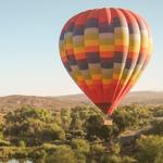 A Grape Escape Balloon Adventure