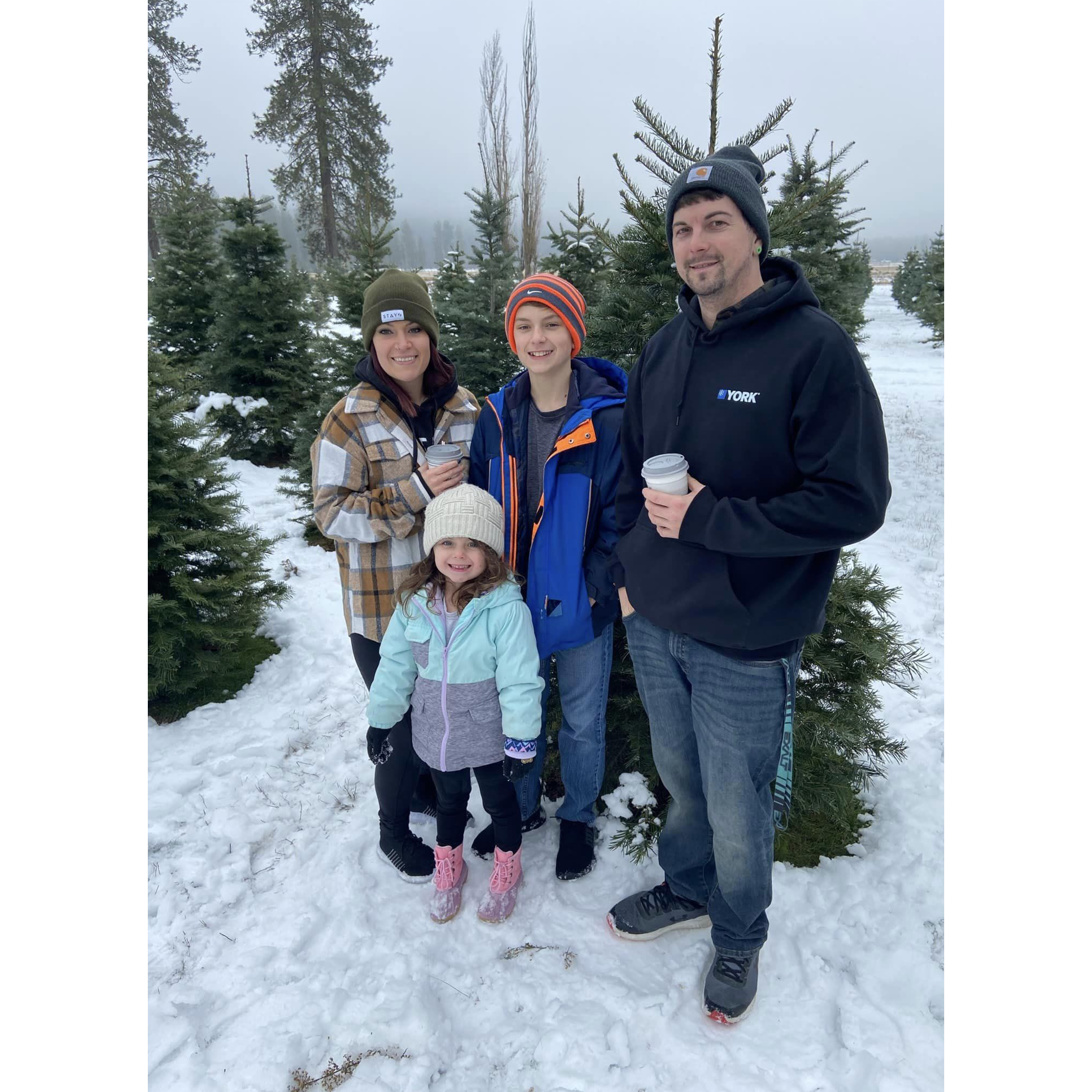 Traditional Christmas Tree Cutting '22