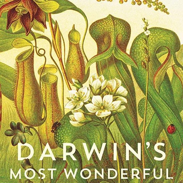 Darwin's Most Wonderful Plants: Darwin's Botany Today