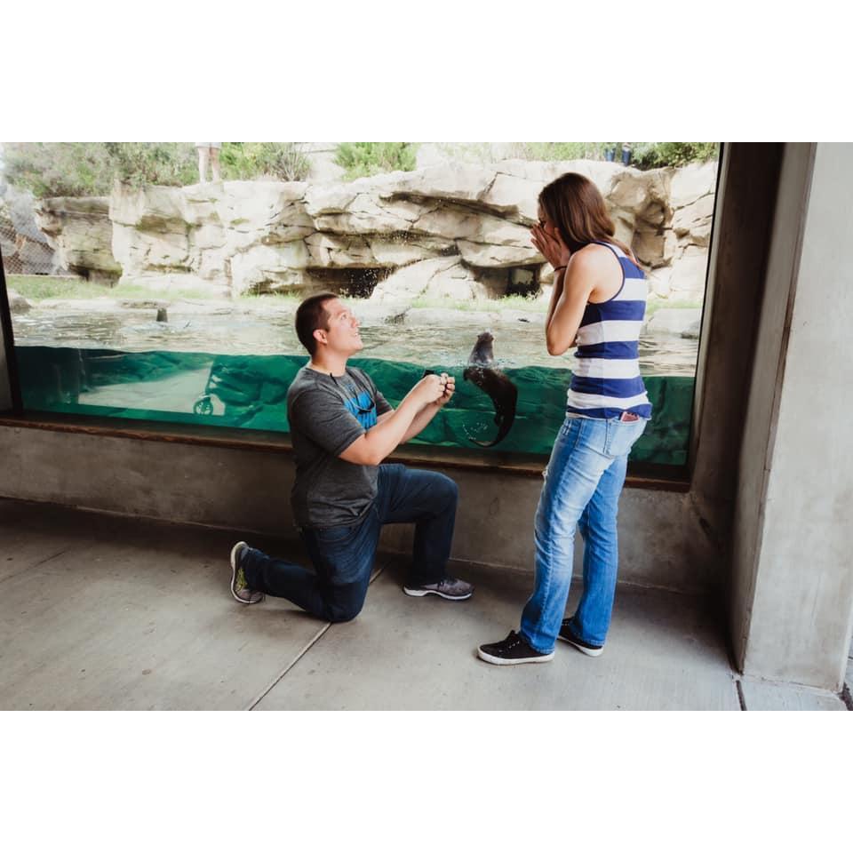 "Will you be my otter half forever?"

Engagement at the Riverbanks Zoo in Columbia, SC 10/15/18