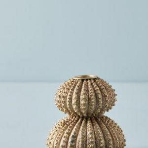 Sea Urchin Taper Holder