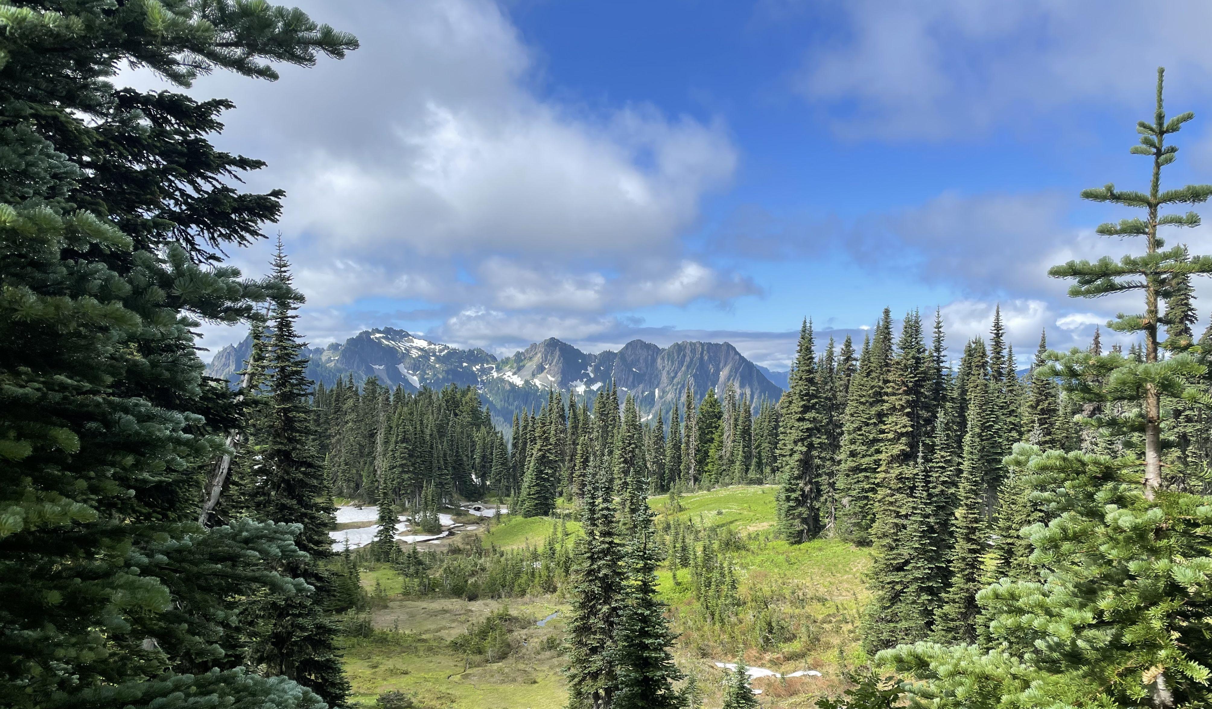 The Wedding Website of Liz Brinkman and Andrew Petersen