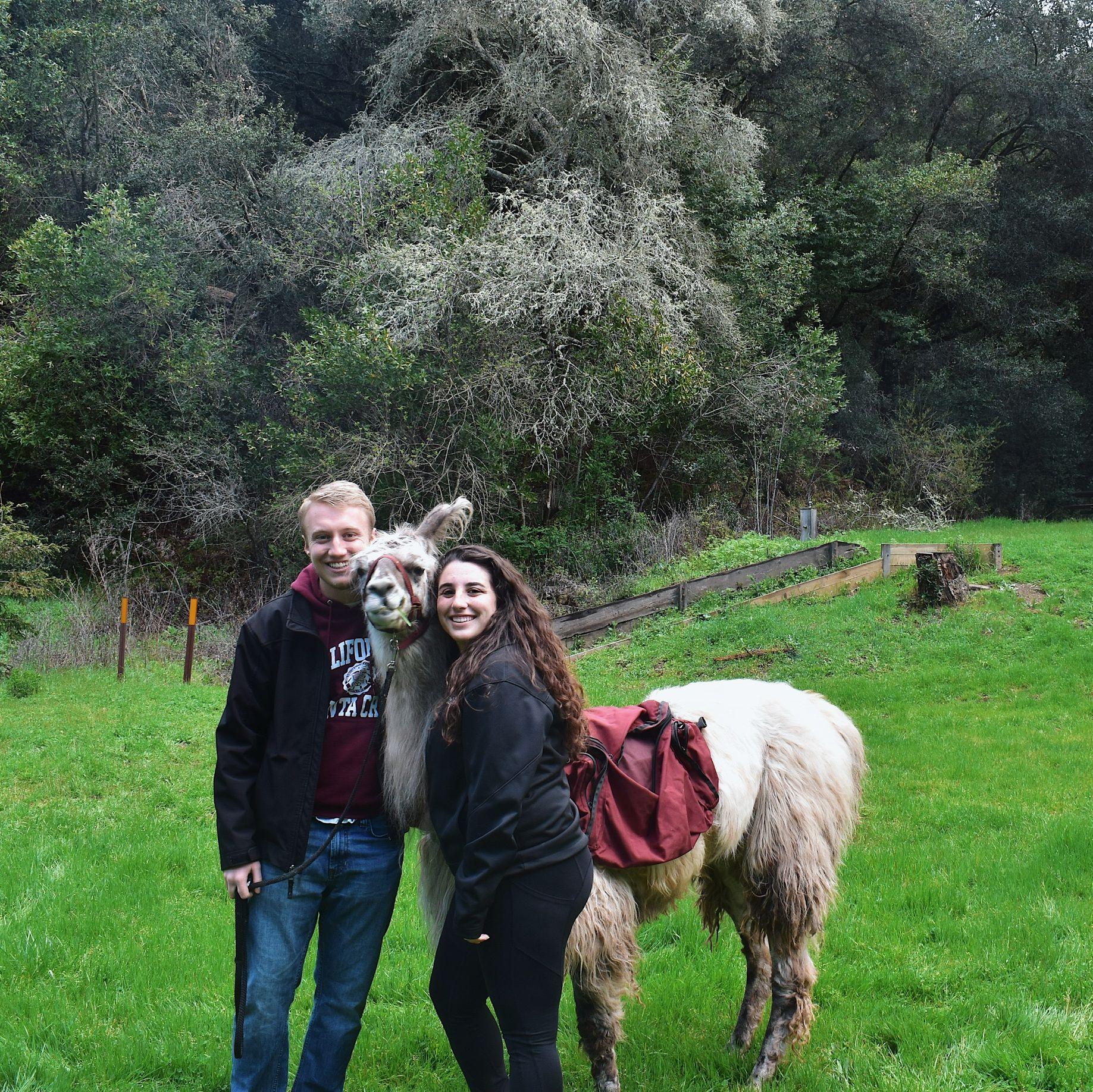 Hiking with llamas in Oakland - the first gift Blake got Peyton after they started dating.