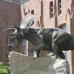 Peabody Museum of Natural History