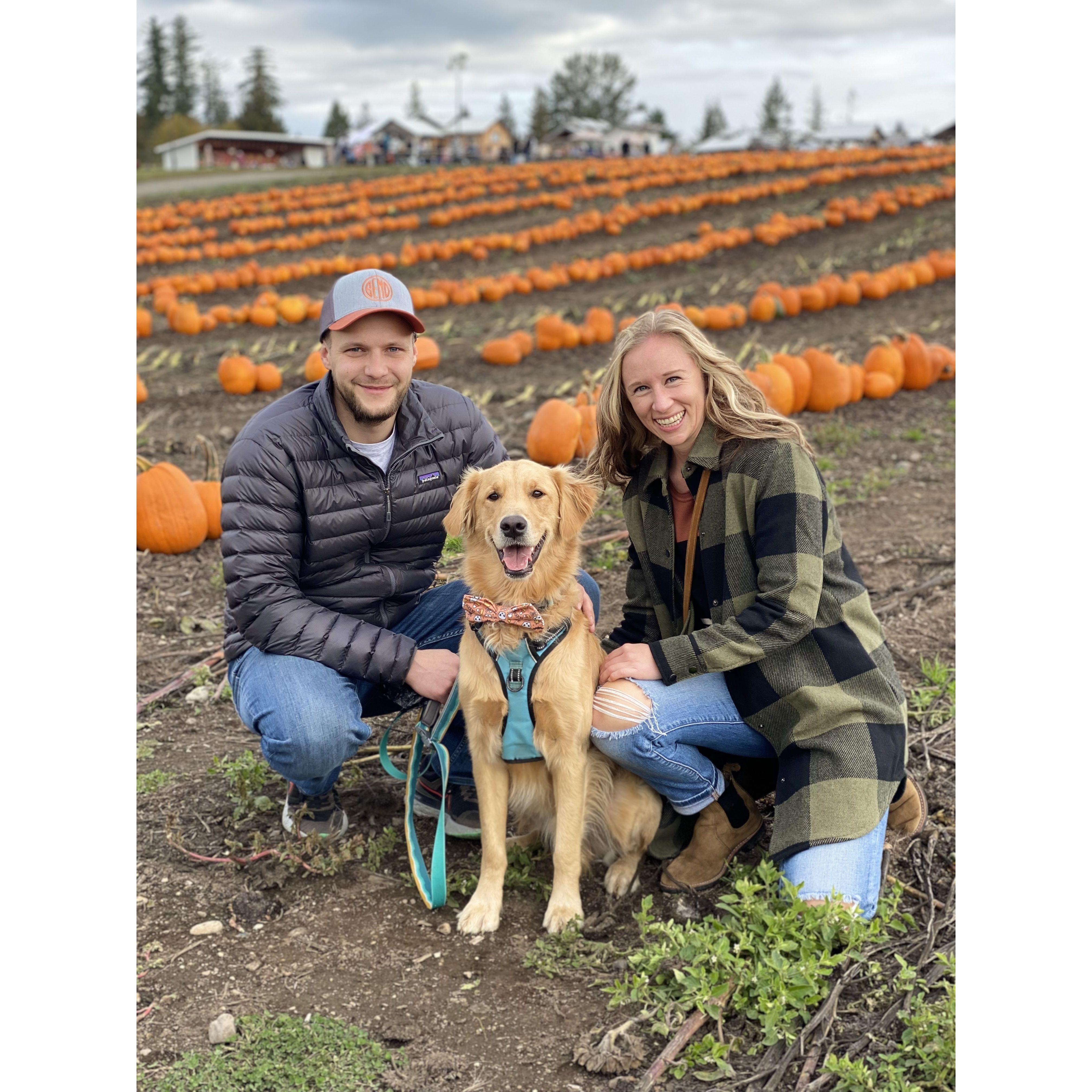 Annual Pumpkin Picking