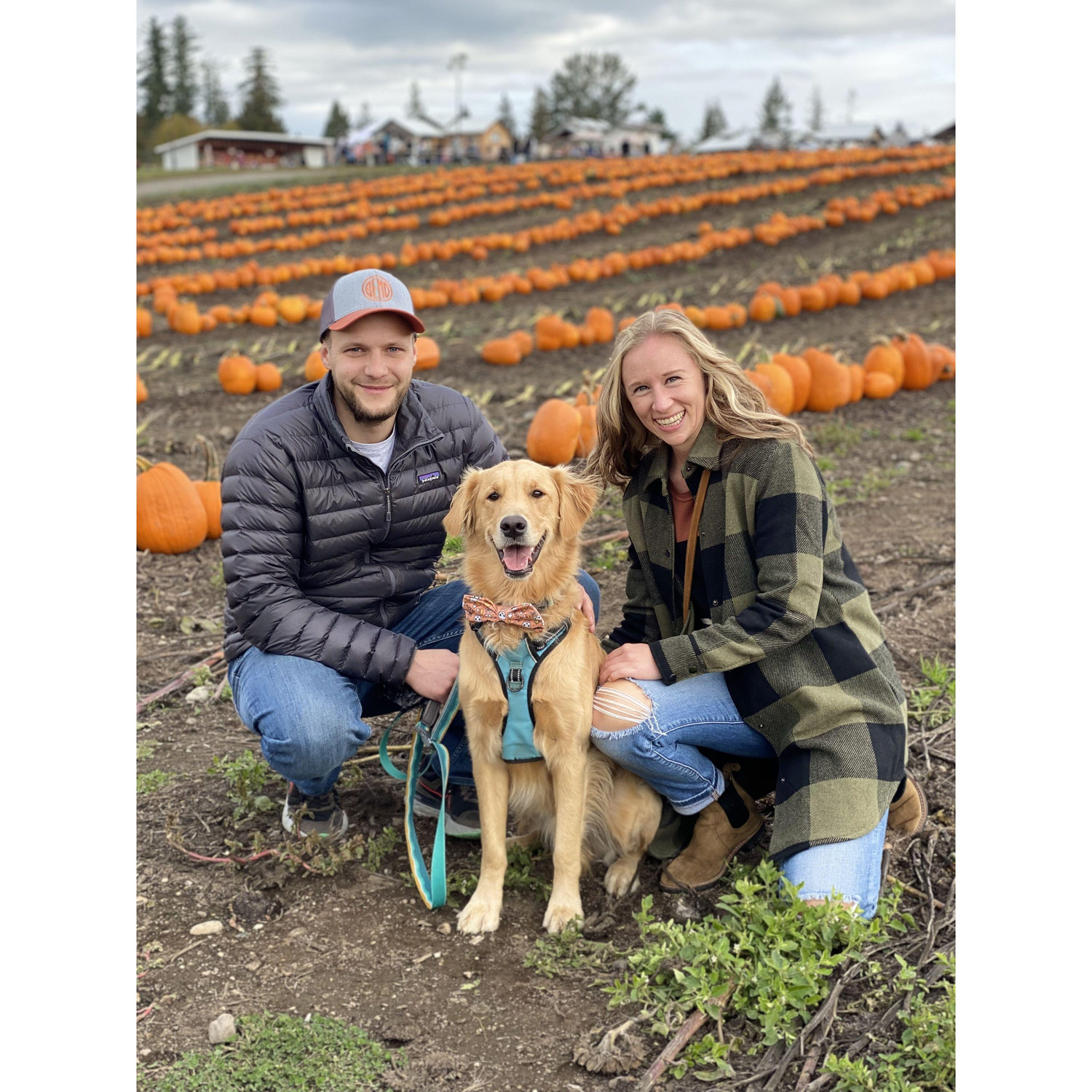 Annual Pumpkin Picking