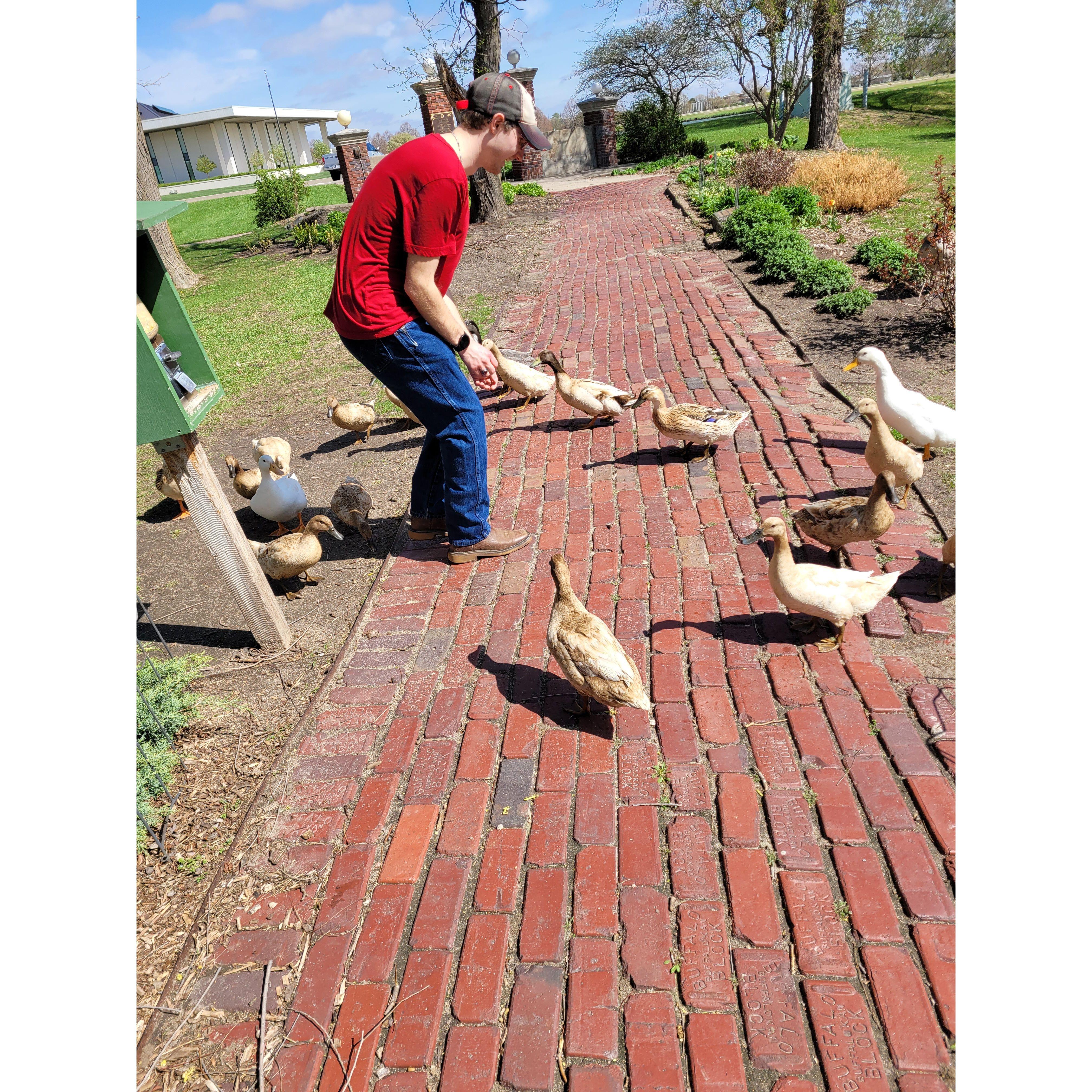 Jacob feeding the ducks at Stuhr Museum