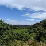 Reinhardt Redwood Regional Park