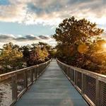 Gordons Pond Trail
