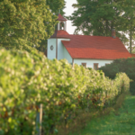 Old Mission Point Peninsula - wineries