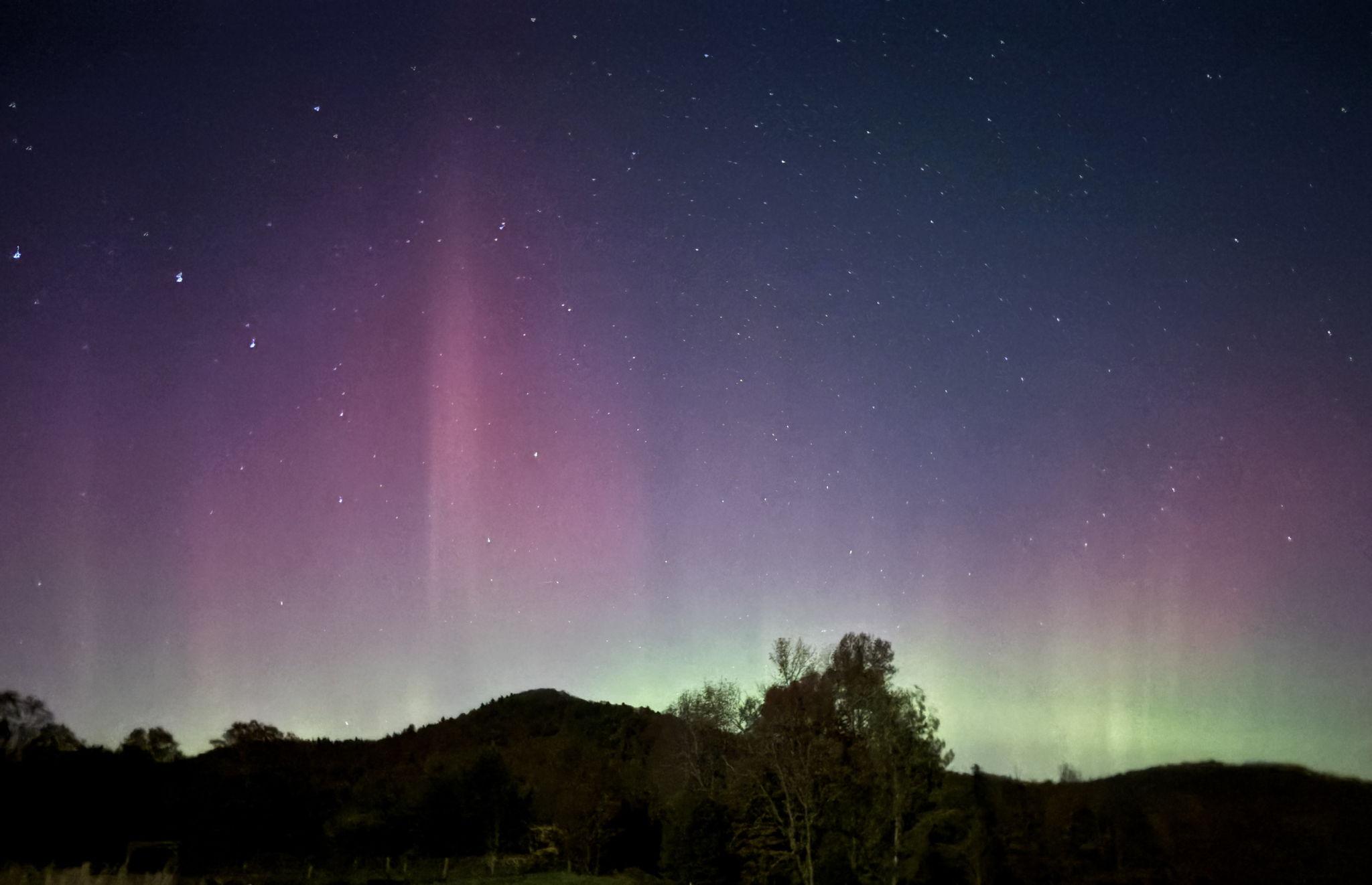 The Wedding Website of partnership (she/they) and A celebration of love, land (they/them)