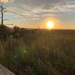 Currituck Banks National Estuarine Research Reserve Access Trail