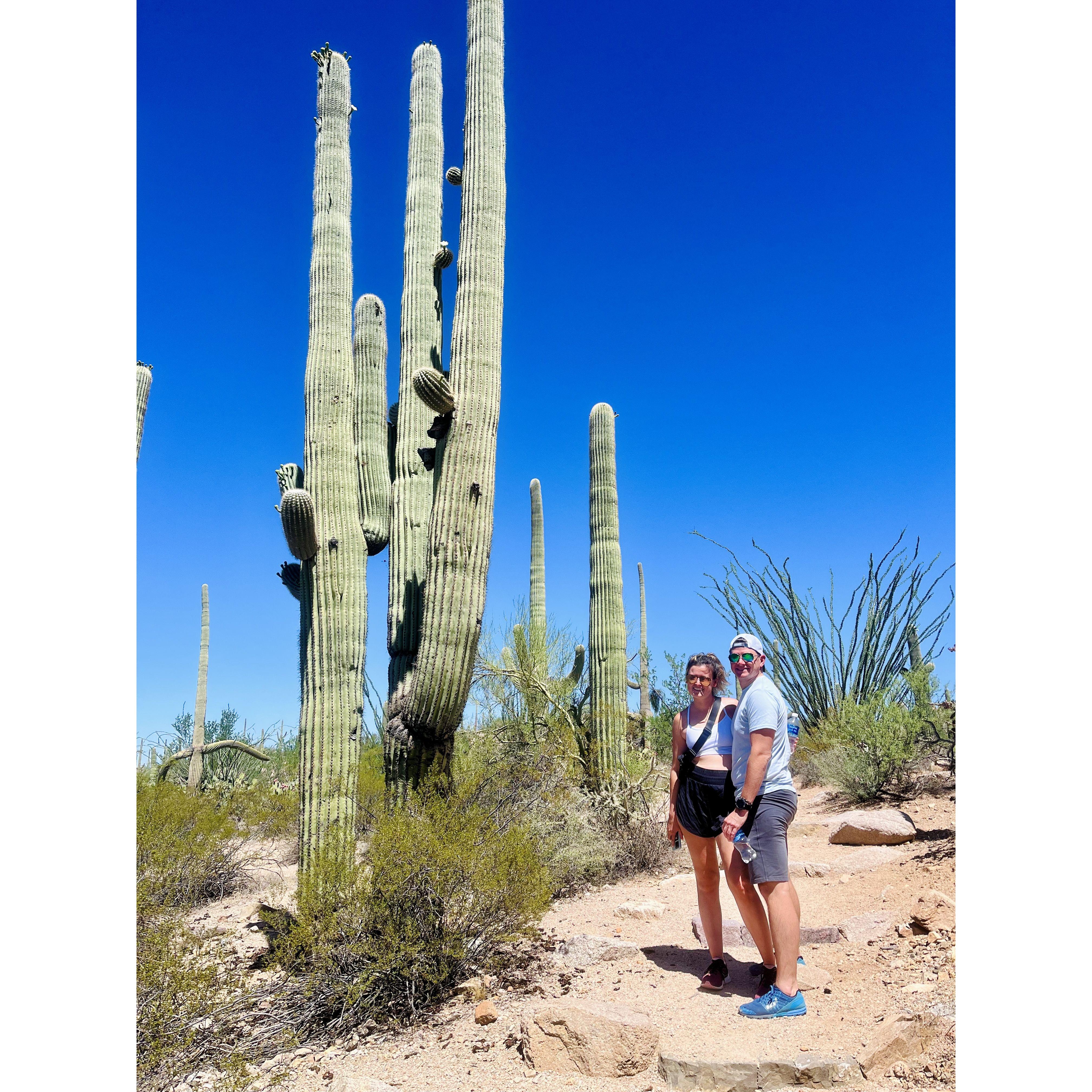 Saguaro National Park (2023)