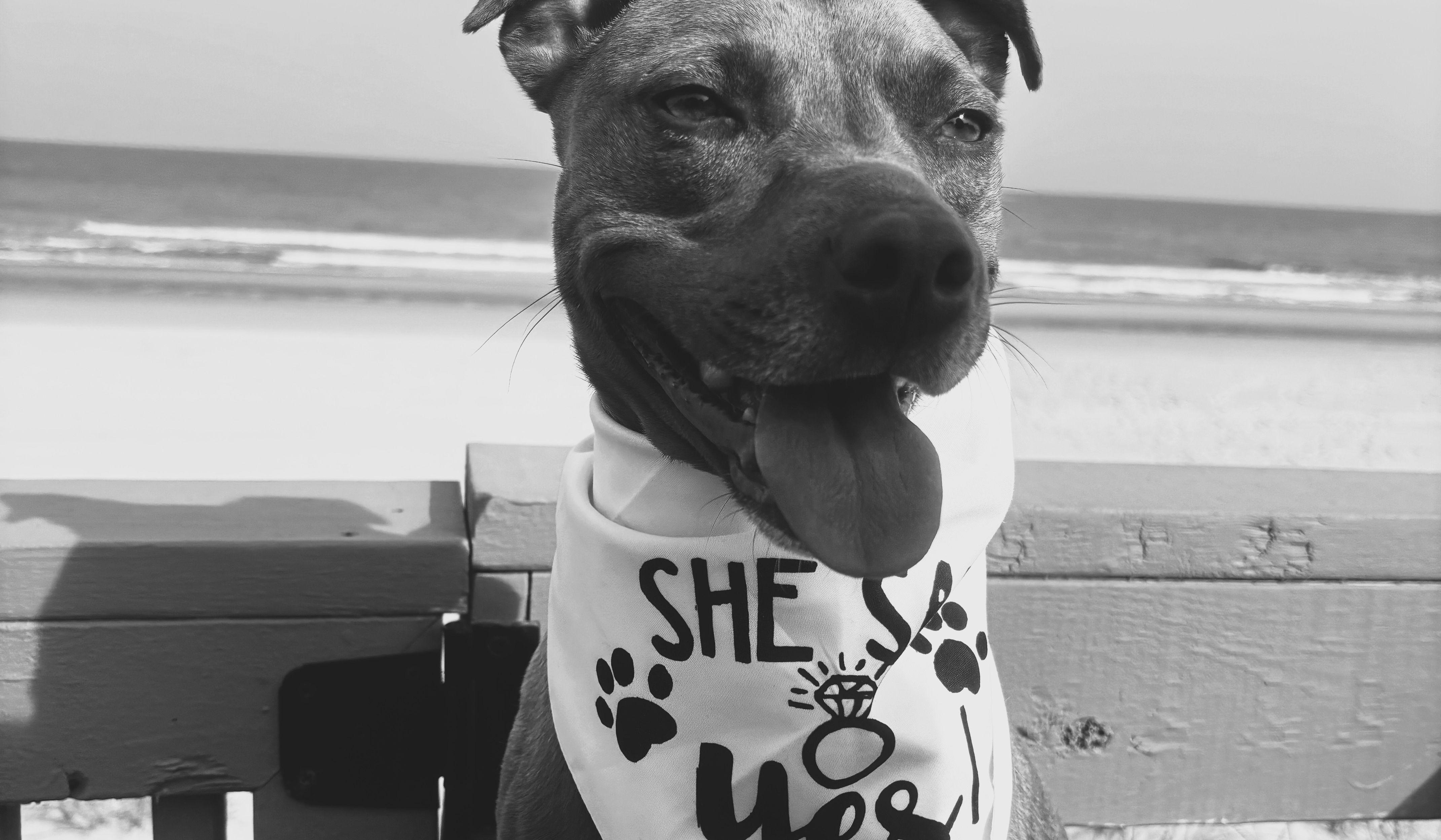 Hero Slideshow Image 3