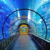 Shark Reef Aquarium at Mandalay Bay