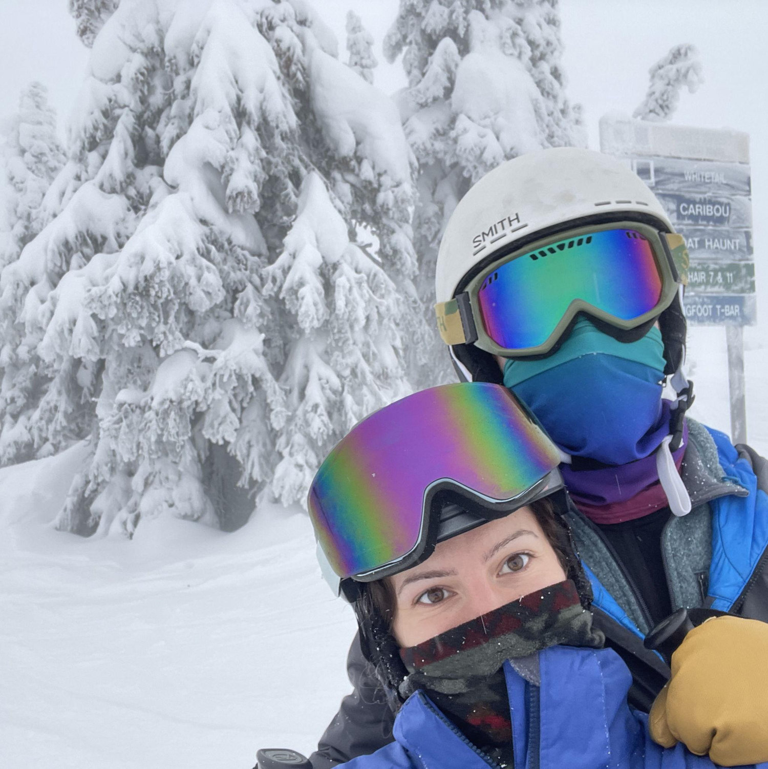 Whitefish, MT