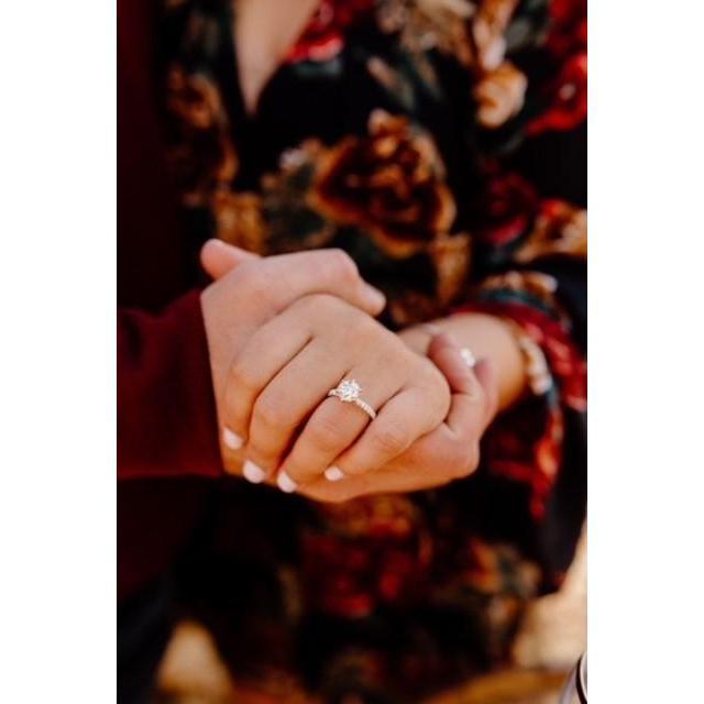 The Proposal 11.01.2020