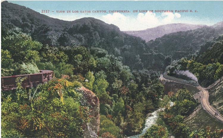 The Wedding Website of Alicia Pennypacker and Jose Fuentes