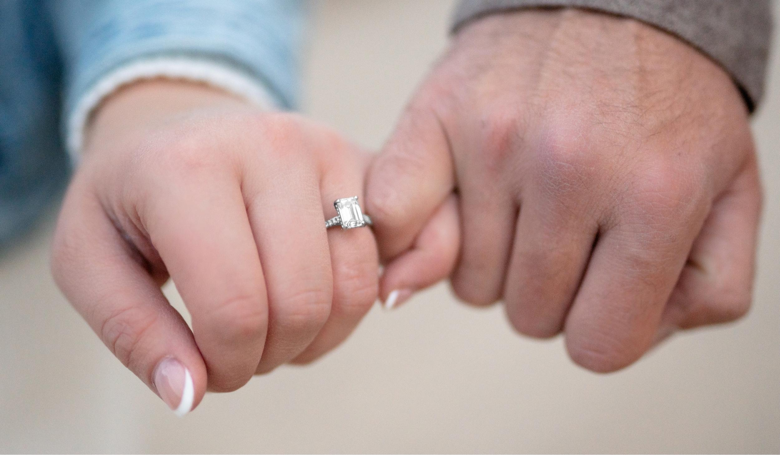 The Wedding Website of Noel Roubal and William Bellefeuille